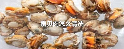 ​冷藏扇贝肉怎么清洗 扇贝肉怎么清洗才干净