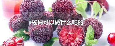 ​杨梅能做什么吃的 杨梅可以做成什么食物