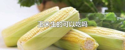 ​玉米生吃有毒么 玉米吃生的会中毒吗