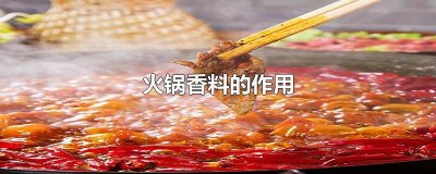 ​火锅底料配方都有哪些香料品牌 火锅底料配方都有哪些香料好吃