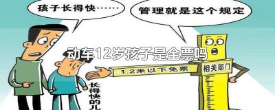 ​12岁孩子坐动车买什么票 12岁儿童动车会半票吗?