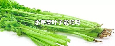 ​水芹菜的叶子能不能吃 水芹菜的叶子能不能吃?