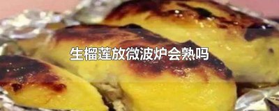 ​榴莲不熟放在微波炉加热会熟吗 榴莲没熟透可以放微波炉转吗