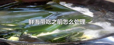 ​买回来鲜海带怎样处理 刚买的新鲜海带怎么处理