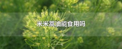 ​米蒿籽油有什么功效 米米蒿油的营养价值及功效