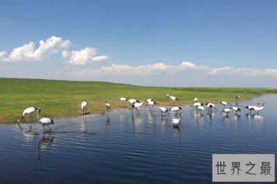 ​中国十大最美湿地排名，鄱阳湖上榜，第十位于黄河入海口两侧