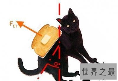 ​黄油猫悖论是什么东西？虚假的理论博取关注度罢了