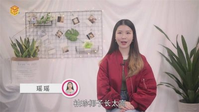 ​袖珍椰子长的太高怎么办 袖珍椰子长高了怎么办