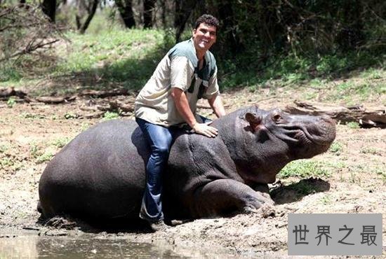 世界上最霸气的十大宠物：美女与狮子同睡6年