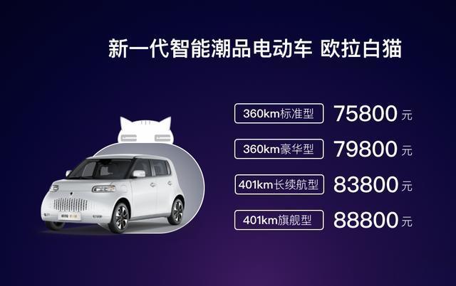 9800万吸猫人新宠，它叫欧拉白猫，售7.58 万起！-