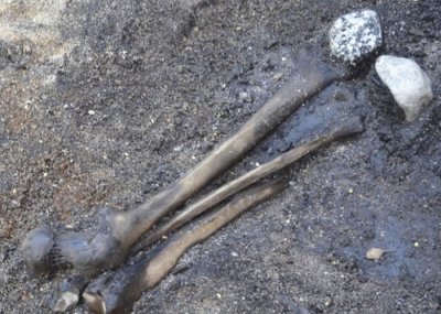 ​丹麦发现2千年前激战牺牲者骸骨 助了解日耳曼人