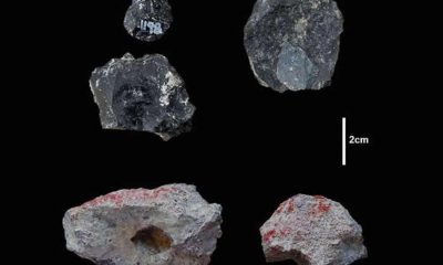 ​东非肯尼亚南部出土32万年前人类使用的先进工具