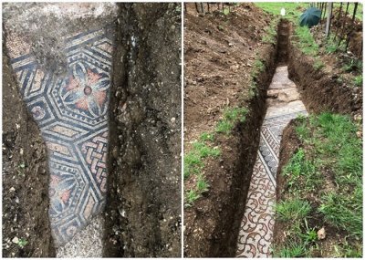 ​意大利维罗纳省北部小镇葡萄园地下发现保存完好的古罗马镶嵌马赛克地板
