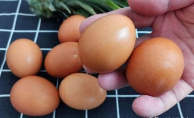 鸡蛋如何保存时间更长大头朝上(将新鲜鸡蛋哪端朝上)
