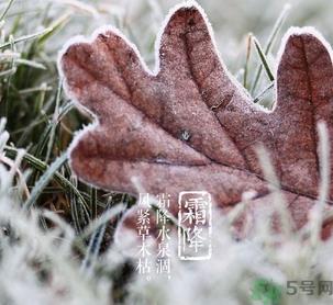 霜降是什么季节？霜降是秋天还是冬天？