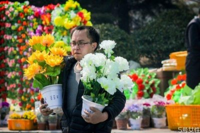 ​清明节的鲜花要用几朵 清明节扫墓应该用什么花