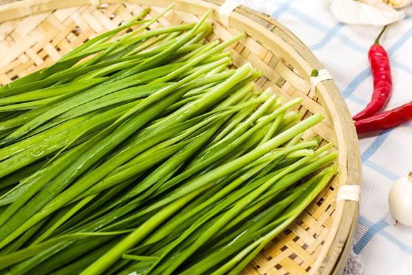 韭菜是不是发物 韭菜是不是感光食物