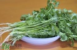 香菜是寒性食物吗？香菜是热性还是凉性？