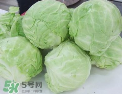 ​圆白菜是卷心菜吗？圆白菜是不就是卷心菜