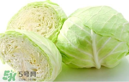 圆白菜是卷心菜吗？圆白菜是不就是卷心菜