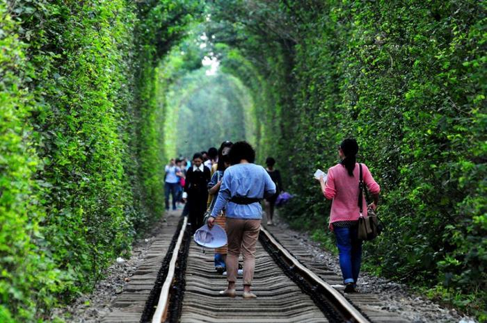 世界网红景点“爱情隧道”，原来在我国也有一条，却一直不知道！