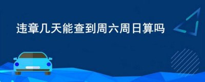 ​违章几天能查到周六周日算吗