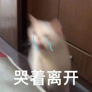 ​天哪……他竟然退圈了？