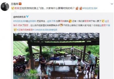 ​王珞丹领养“瓢哥”，想不到现实中的她，竟是这样的