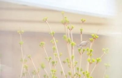 大件家具怎么扔旧家具应该如何处理