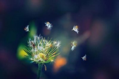 美式咖啡的制作方法窍门如何制作咖啡