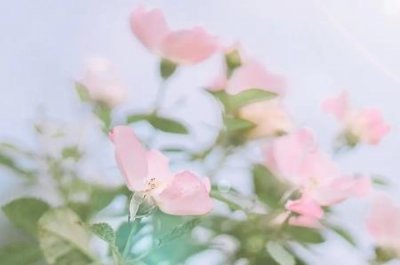 网贷逾期多长时间上征信后果有多严重