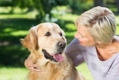 ​拿波里獒犬分布区域拿波里獒犬图