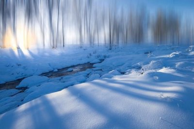 ​冬天来了，春天还会远吗？雪莱名言解读