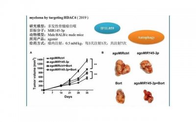 ​夫妻不合，这些法术可以让你们重新点燃爱情