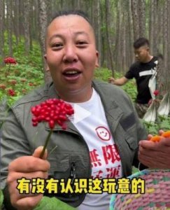 ​“东北雨姐”回应后仍持续掉粉，目前已有近70万粉丝流失