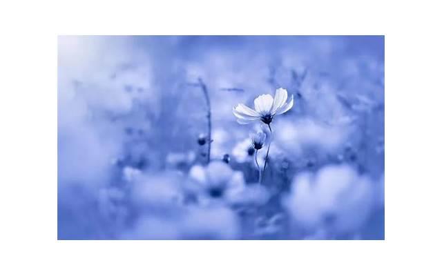 什么?你又被女生拉黑了?分析你被拉黑的原因! 什么?你又被女生拉黑了?分析你被拉黑的原因!